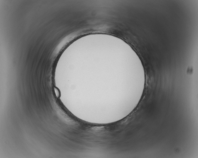 X0000112850054200909181746