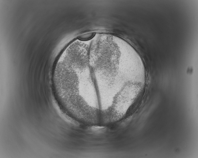 X0000112850055200909181746