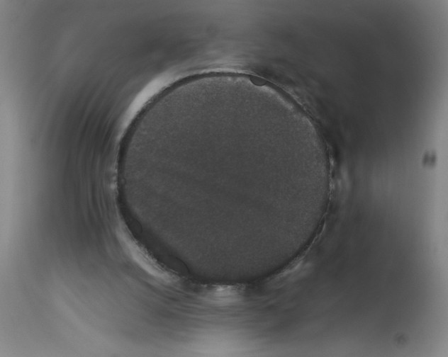 X0000112850056200909181746