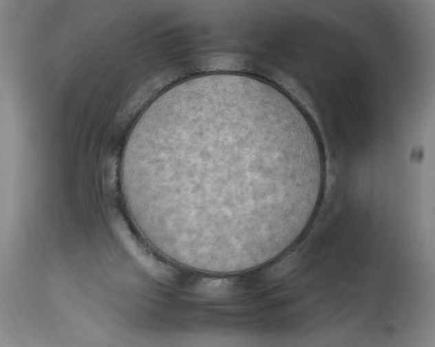 X0000112850057200909181746