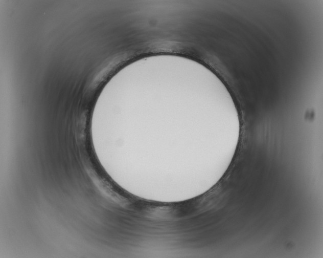 X0000112850058200909181746