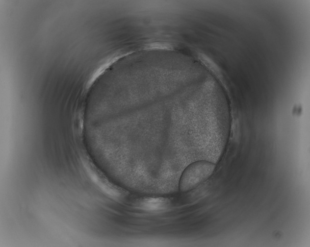 X0000112850059200909181746