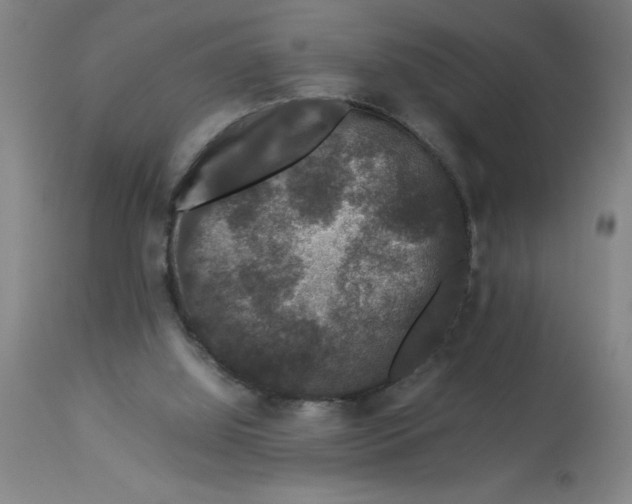 X0000112850060200909181746