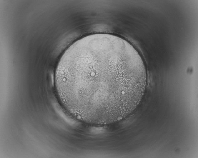 X0000112850061200909181746