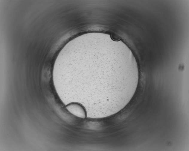 X0000112850063200909181746