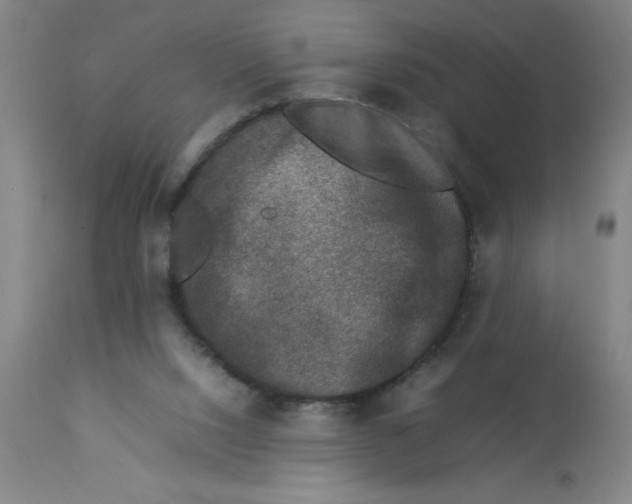 X0000112850064200909181746