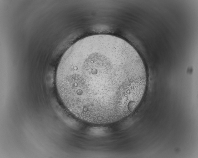 X0000112850065200909181746