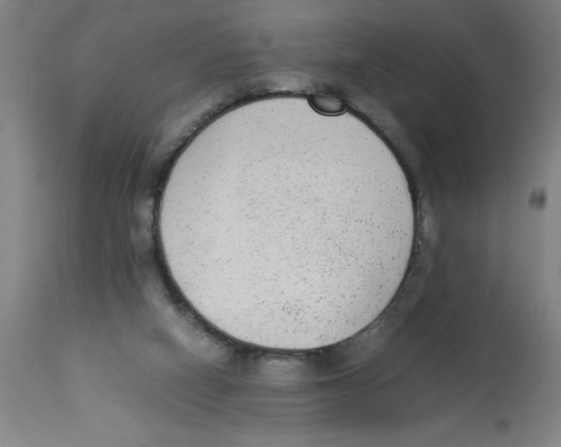 X0000112850066200909181746