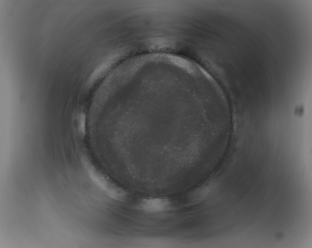 X0000112850067200909181746