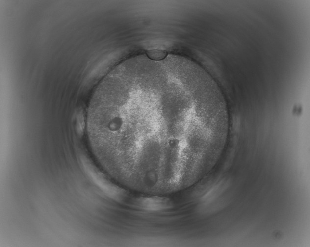 X0000112850069200909181746