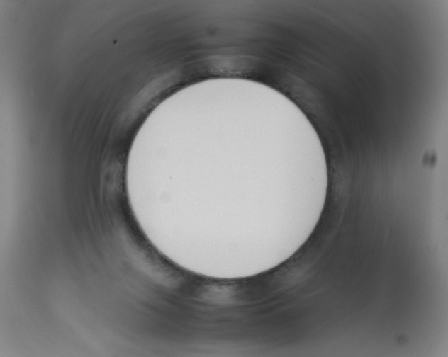 X0000112850071200909181746