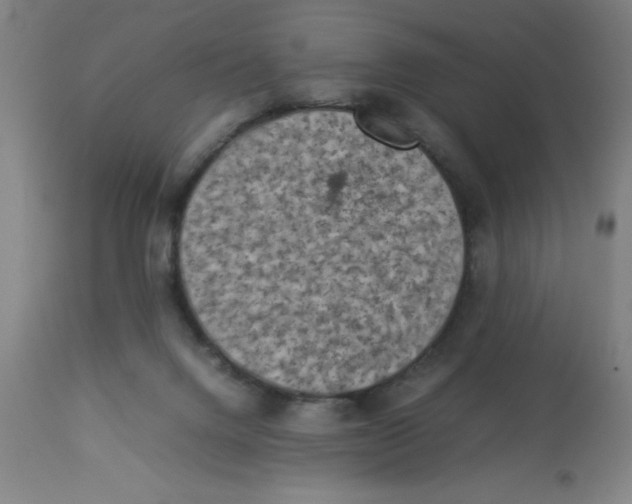 X0000112850072200909181746