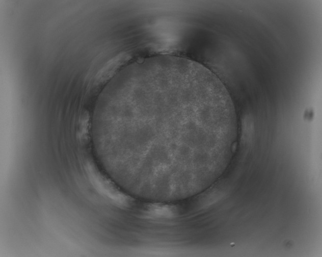 X0000112850073200909181746