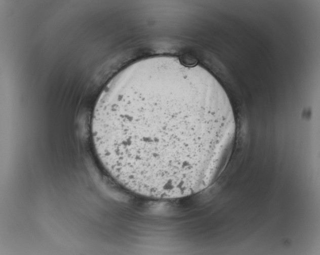 X0000112850074200909181746