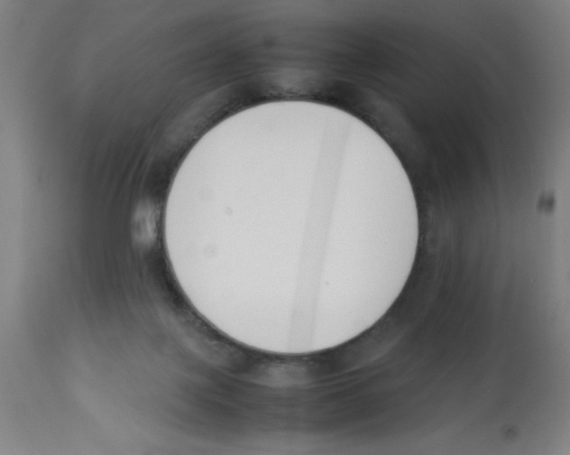 X0000112850075200909181746