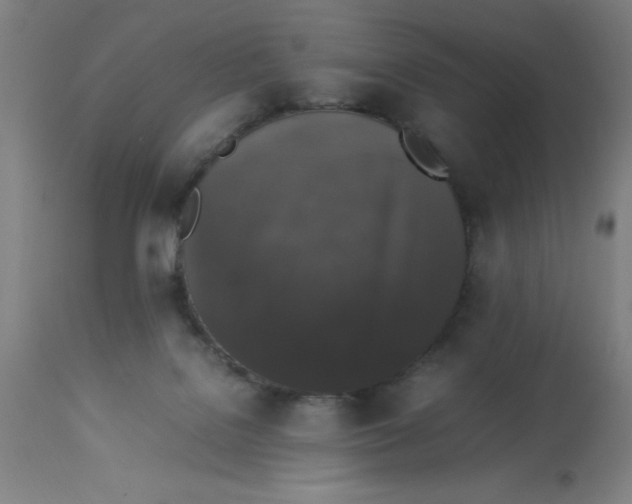 X0000112850076200909181746