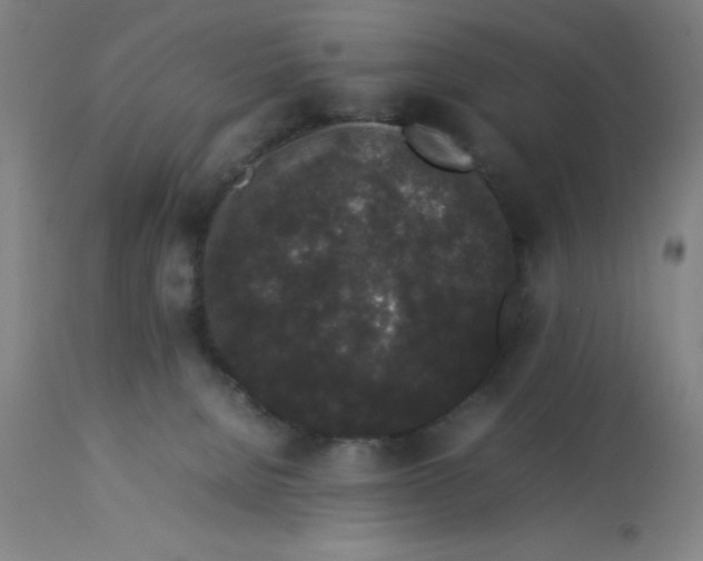 X0000112850080200909181746