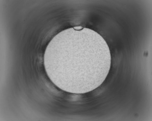 X0000112850085200909181746