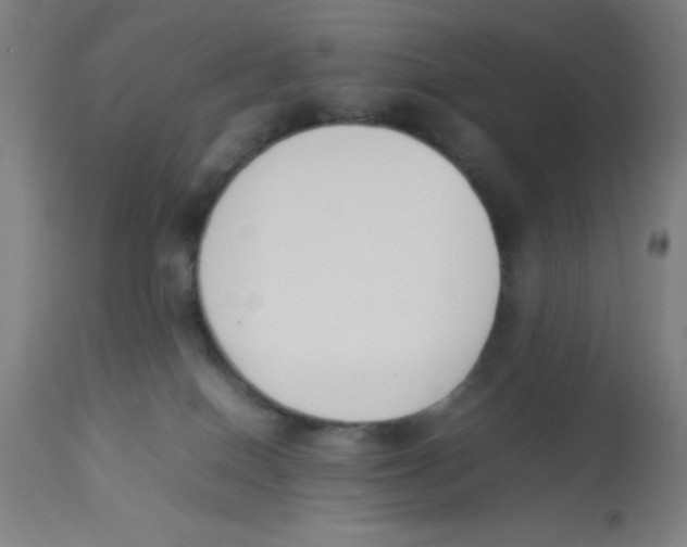 X0000112850086200909181746