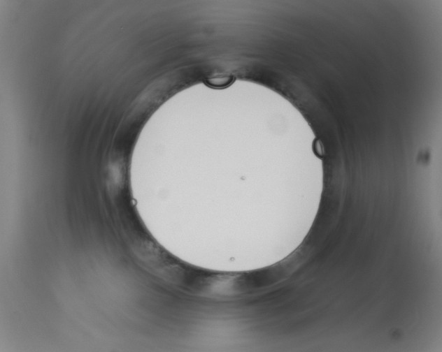 X0000112850090200909181746