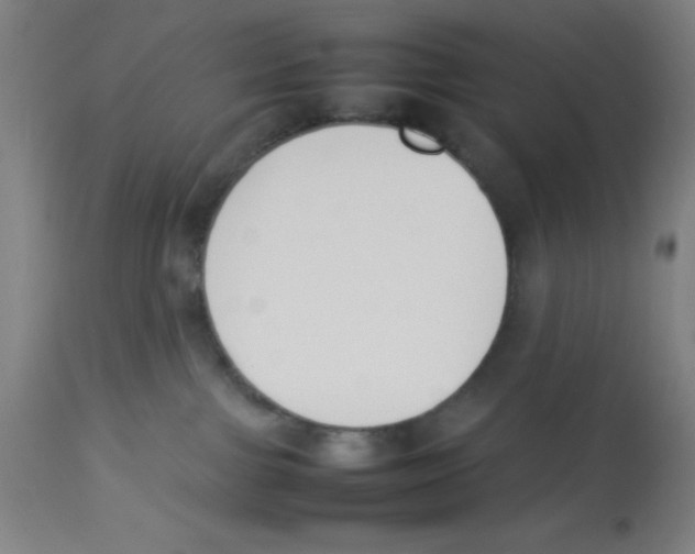 X0000112850091200909181746