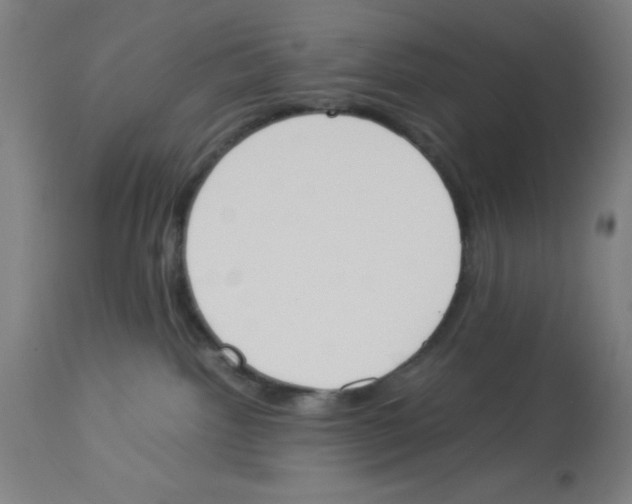 X0000112850092200909181746