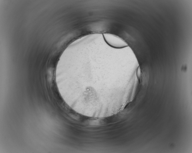 X0000112850093200909181746