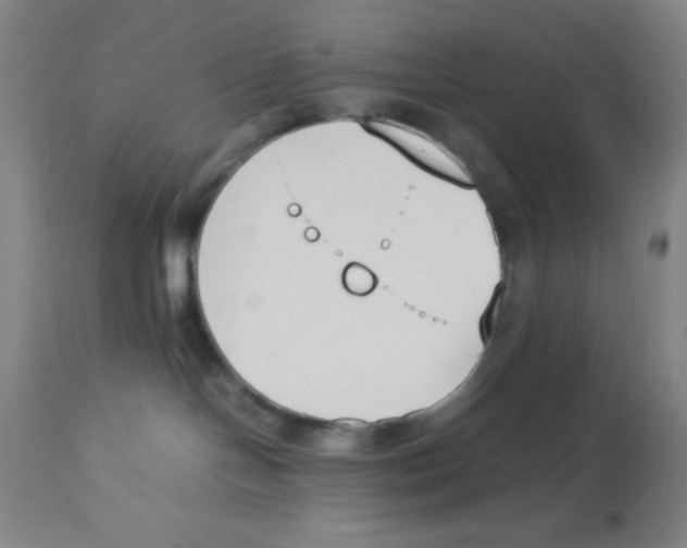 X0000112850094200909181746