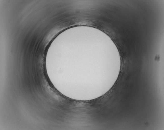 X0000112850098200909181746