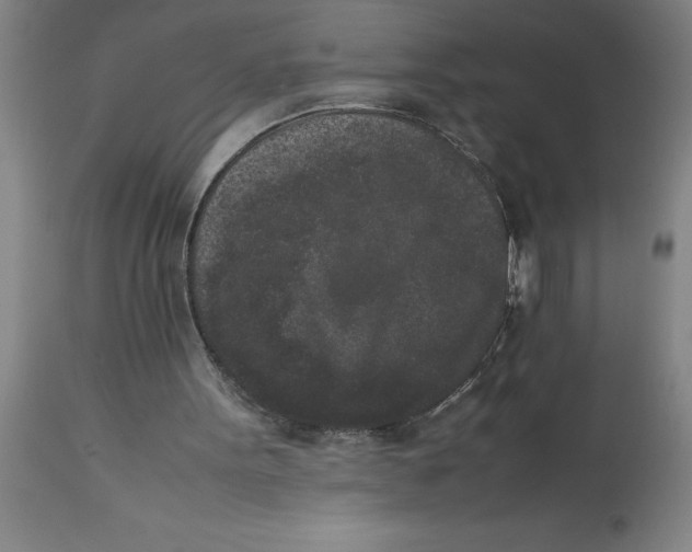 X0000112850099200909181746