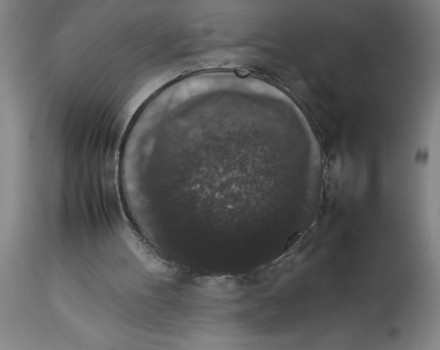 X0000112850100200909181746