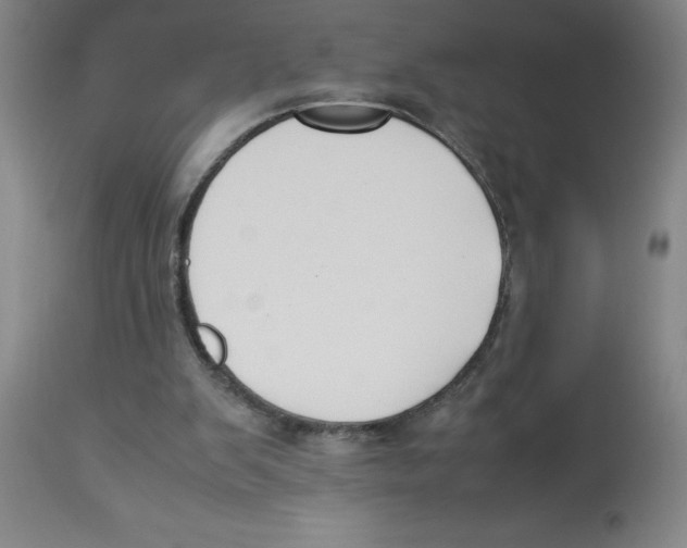 X0000112850103200909181746