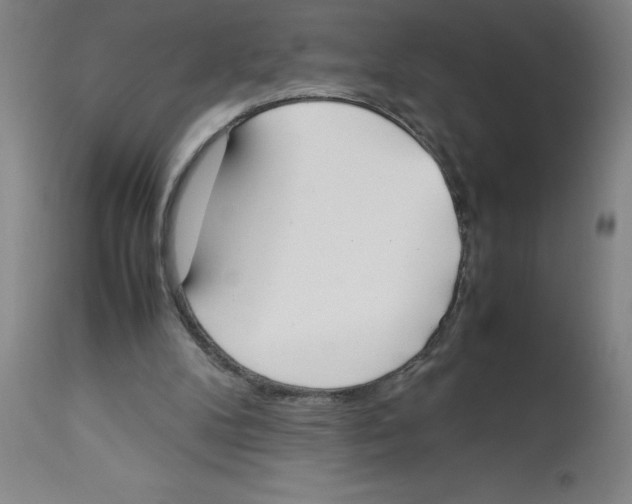 X0000112850104200909181746