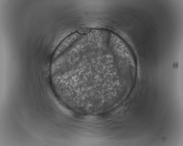 X0000112850105200909181746