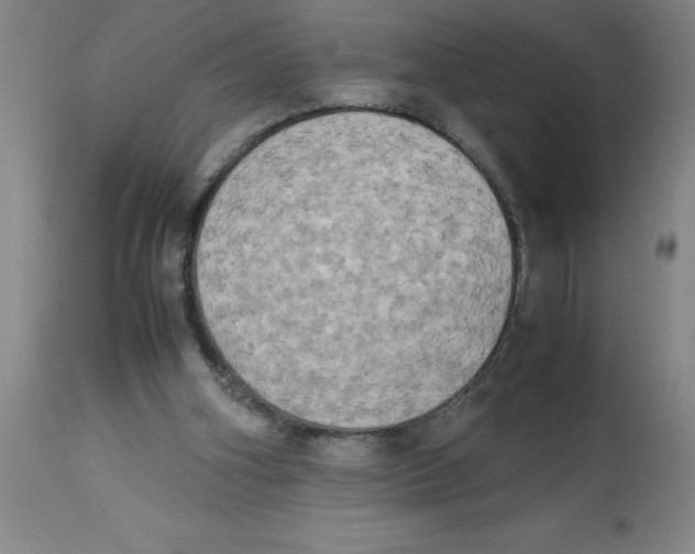 X0000112850106200909181746