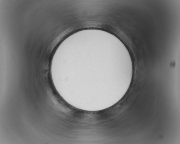 X0000112850107200909181746