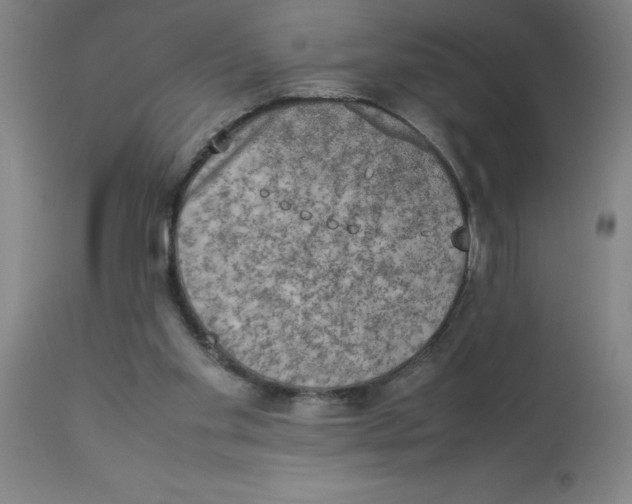 X0000112850109200909181746