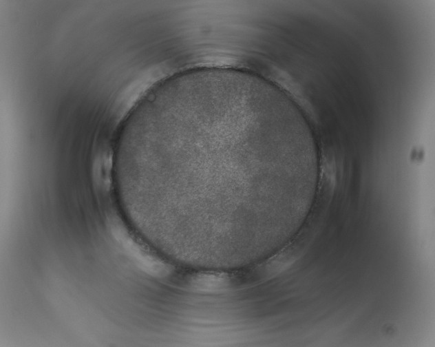 X0000112850110200909181746