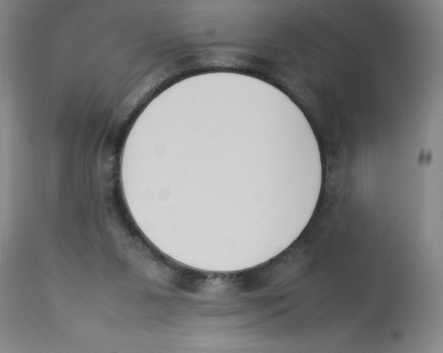 X0000112850111200909181746