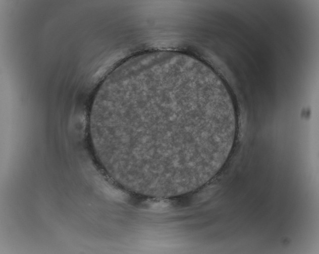 X0000112850113200909181745