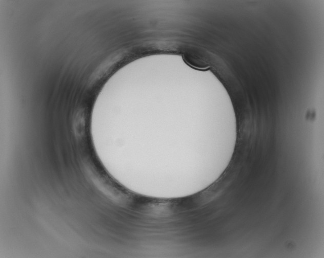 X0000112850120200909181745