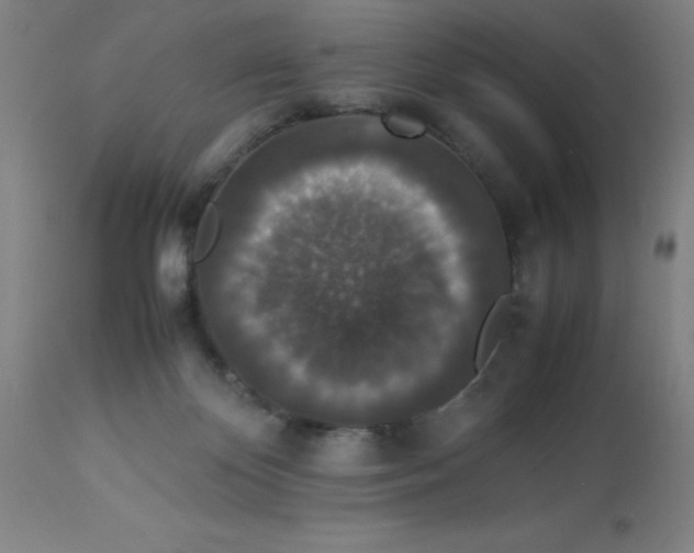 X0000112850124200909181745