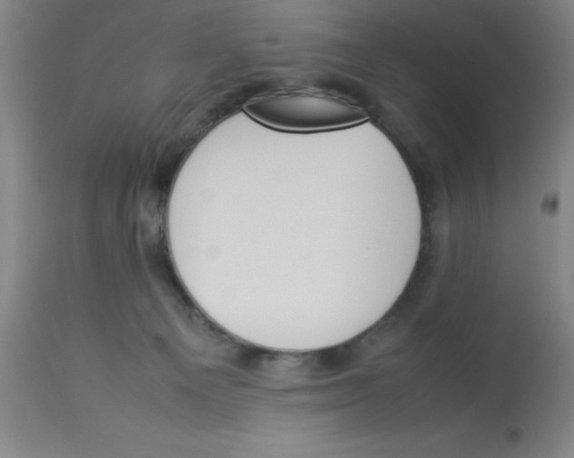 X0000112850129200909181745