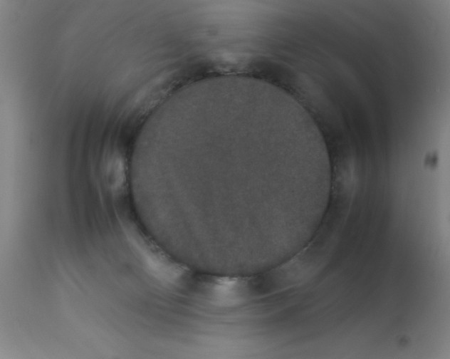 X0000112850130200909181745