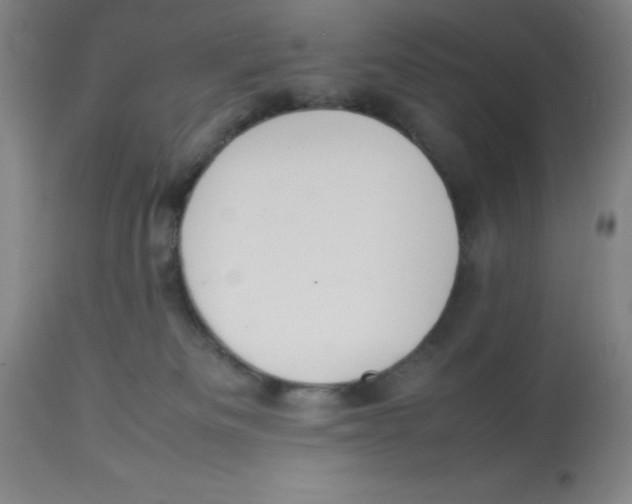 X0000112850133200909181745