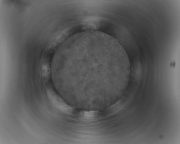 X0000112850134200909181745