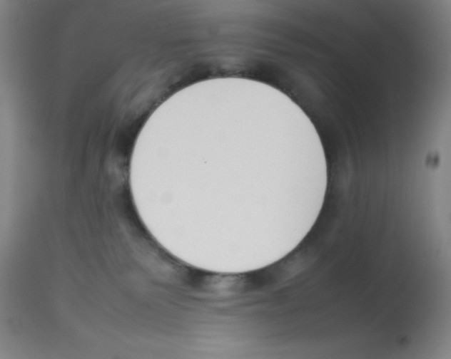 X0000112850135200909181745