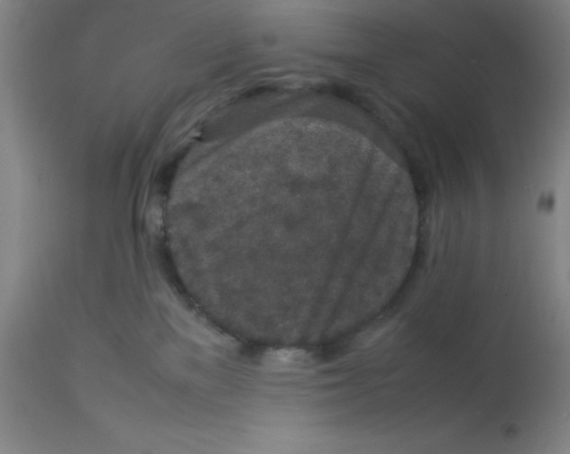 X0000112850137200909181745