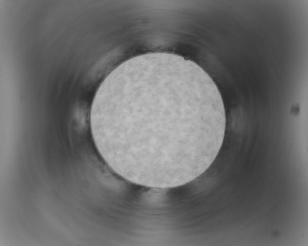 X0000112850138200909181745