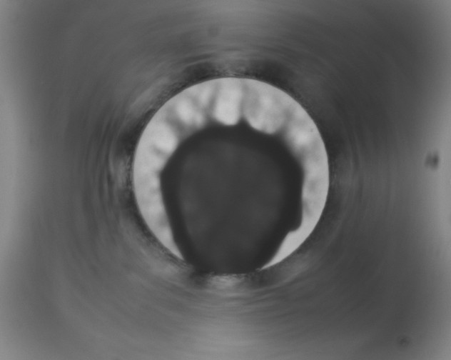 X0000112850139200909181745